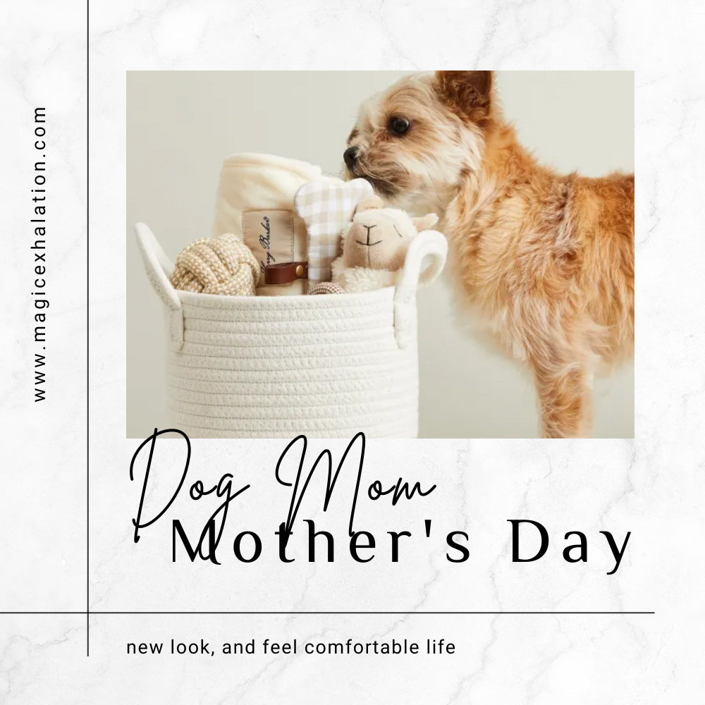 https://www.magicexhalation.com/cdn/shop/articles/dog-mom-mother_s-day-2_1000x.jpg?v=1675649694