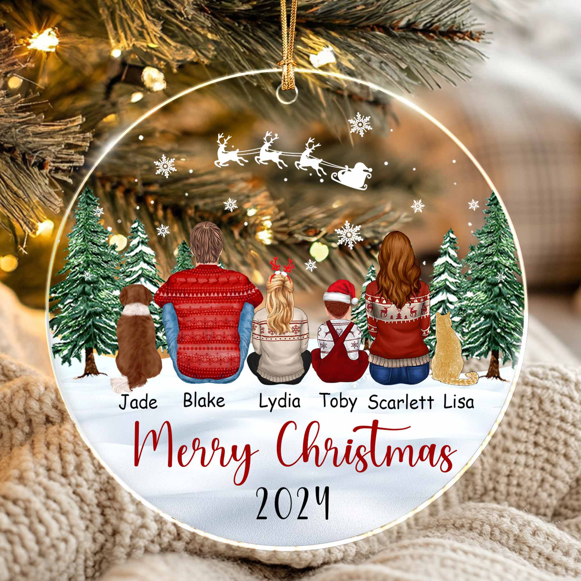 Christmas Ornaments Personalized Family With Cat