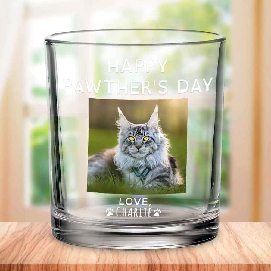 Cat Dad Bar Glass