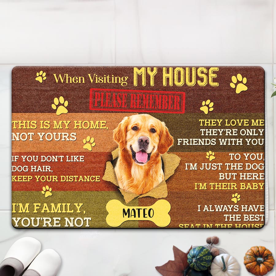 dog door mats